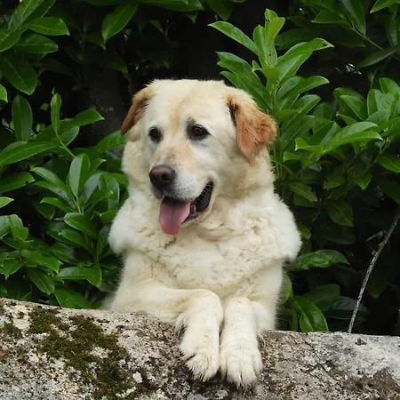 14th Century Priory In 住宿加早餐酒店