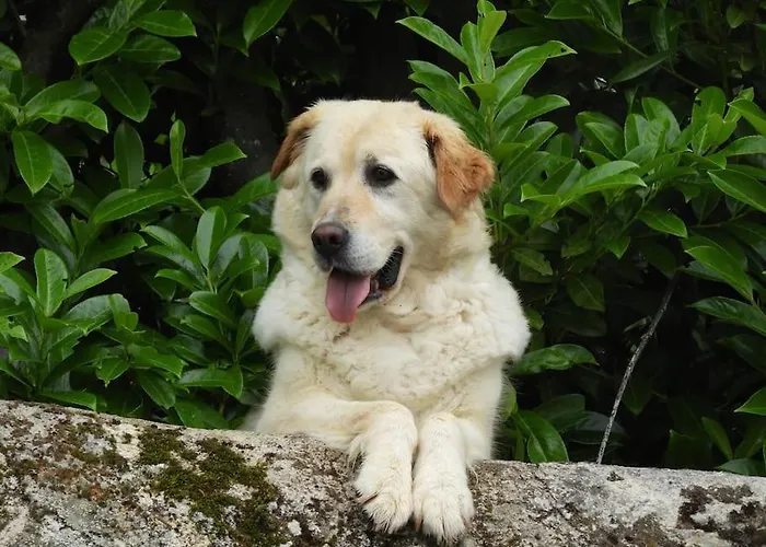 14th Century Priory In Bed & Breakfast